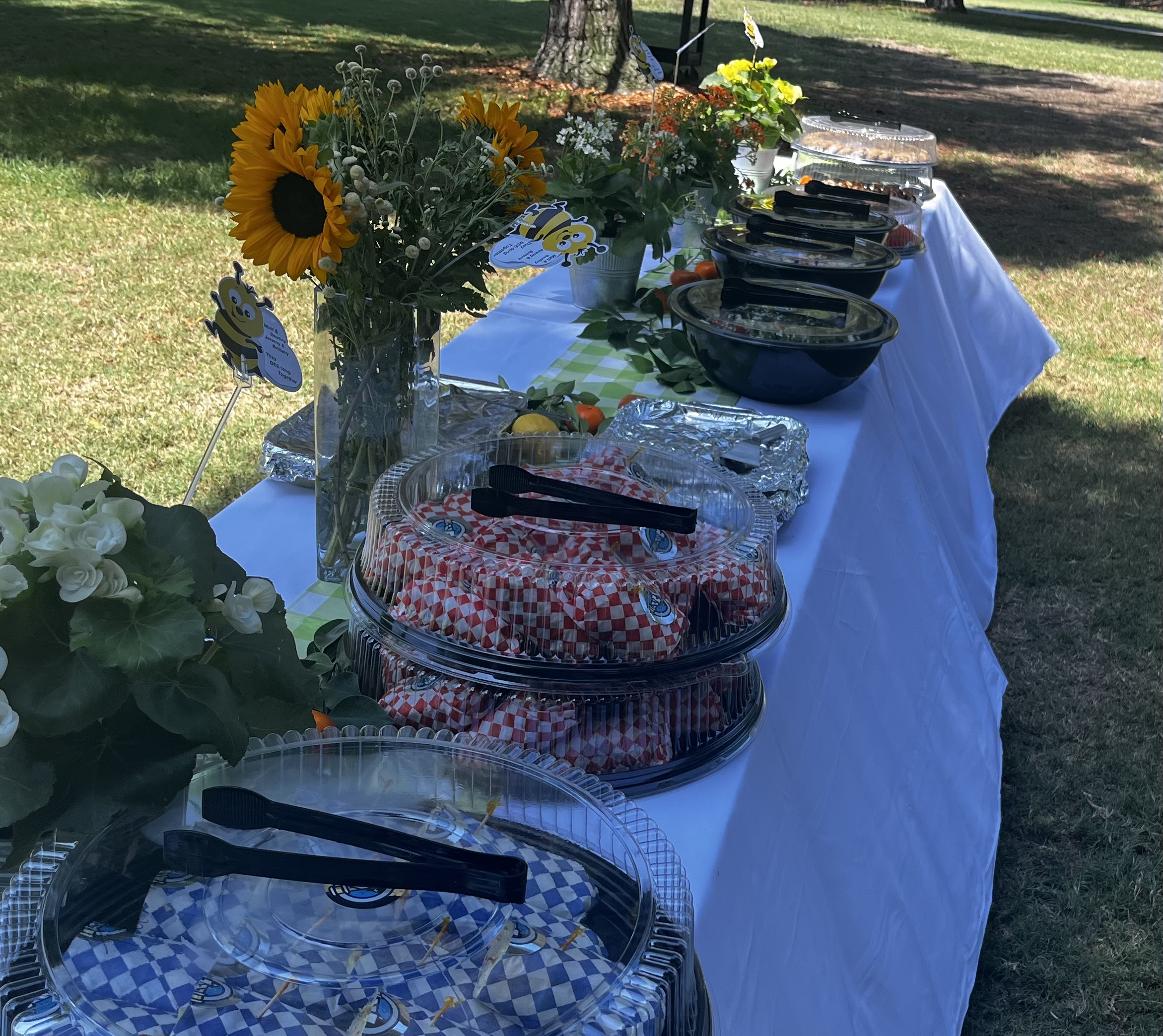 Picnic Catering Event